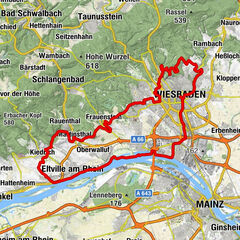 Mammutmarsch Rhein-Main 2024 55km