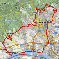 Mammutmarsch Rhein-Main 2025 // 42 KM