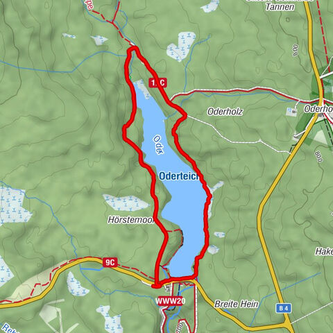 Harz (LK Goslar), Niedersachsen/Deutschland