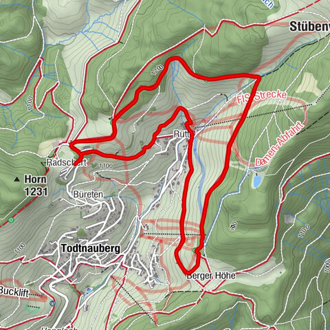 Todtnau, Regierungsbezirk Freiburg/Deutschland
