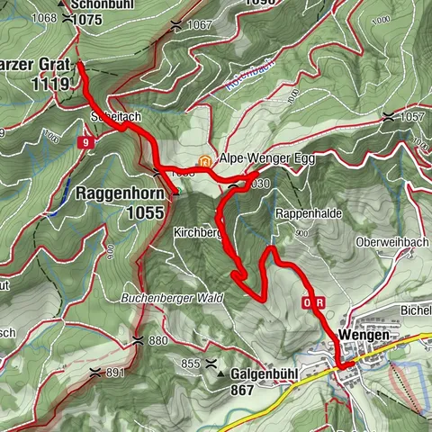 Schwarzer Grat, Baden-Württemberg/Deutschland