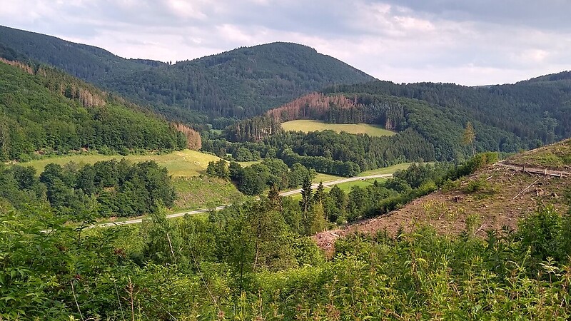 Karte