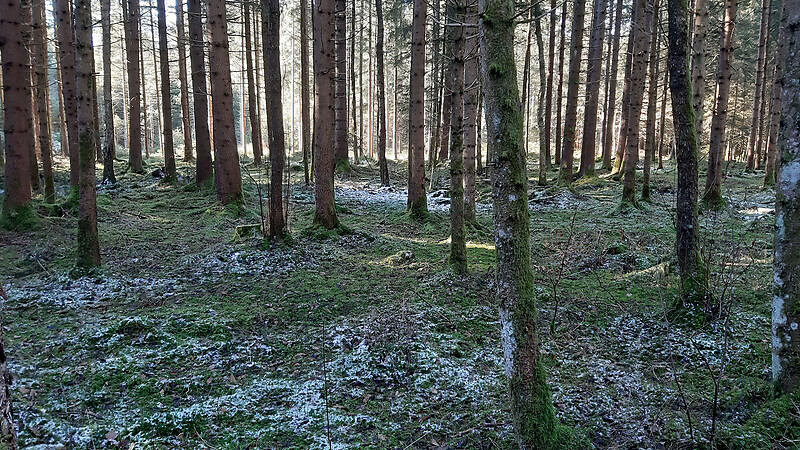 Karte