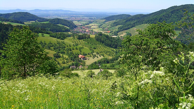 Karte
