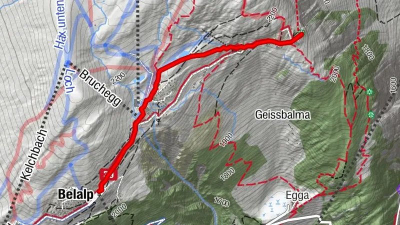SCHNEESCHUHTRAIL LÜSGERSEE-TRAIL