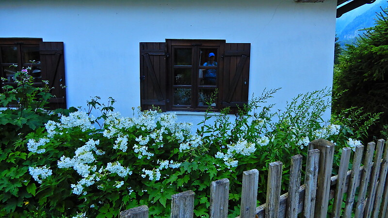 Karte