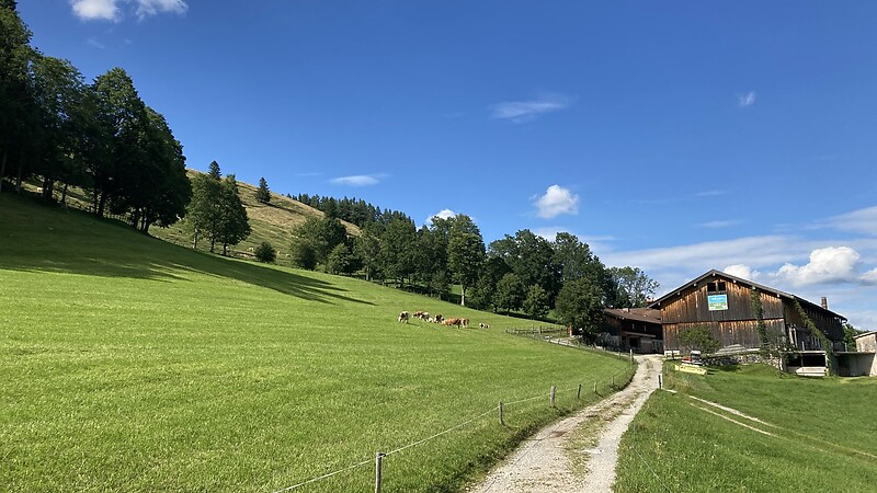 Karte