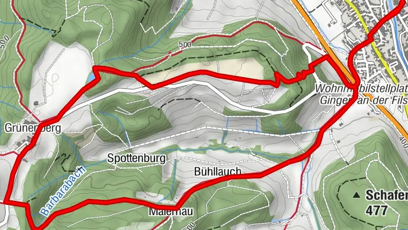 Grünenberg-Biotop Turm-Grasweg