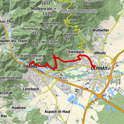 Mountainbike-Strecke: Der Weinberg zwischen Cernay und Thann