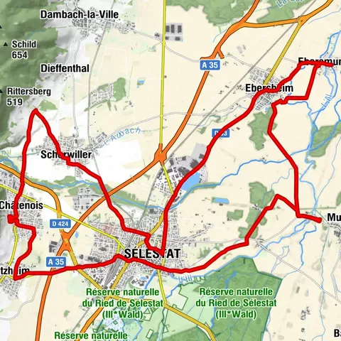 Fahrrad-Rundweg zwischen Weinberg und Ebene