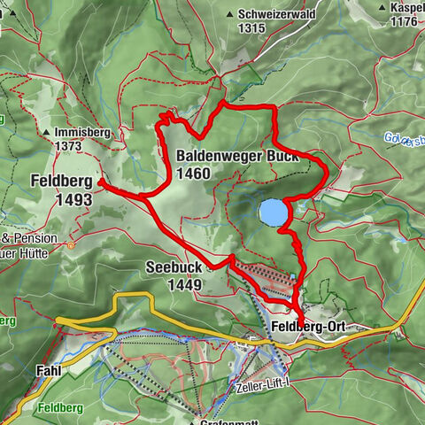 Feldberg 1.493m by Wilson Holz