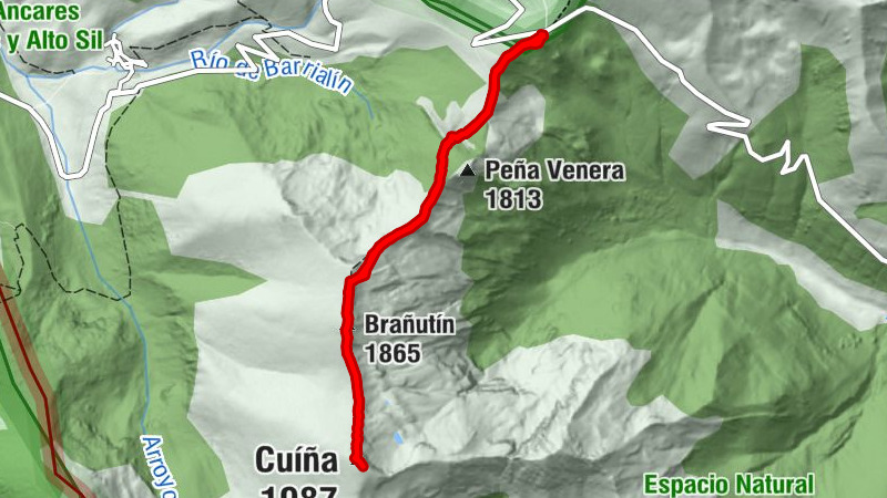 Cuiña (Puerto de Ancares)