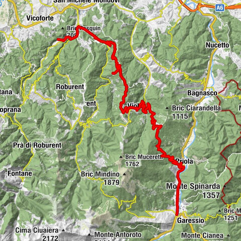 Vioil trail