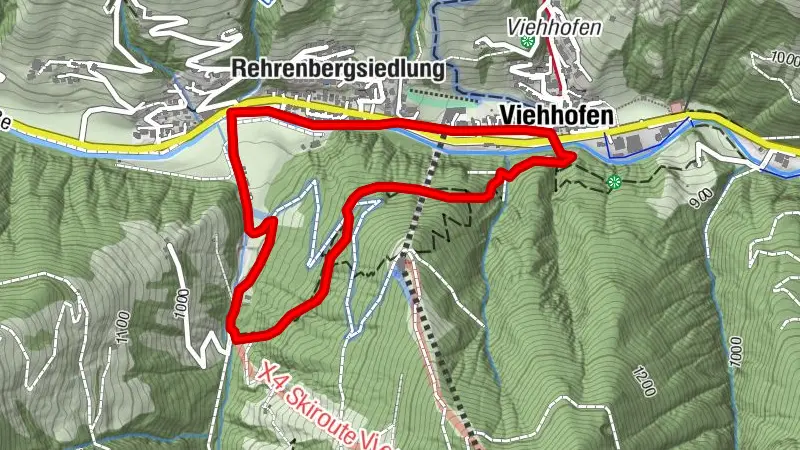 Waldweg – Naturerlebnis pur🌲🌿