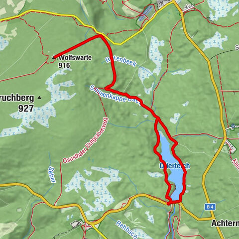 Harz (LK Goslar) - Wolfswarte