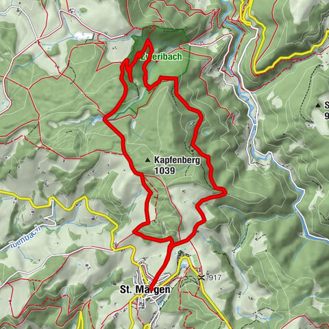 Durch den mystischen Bannwald zum Zweribach-Wasserfall