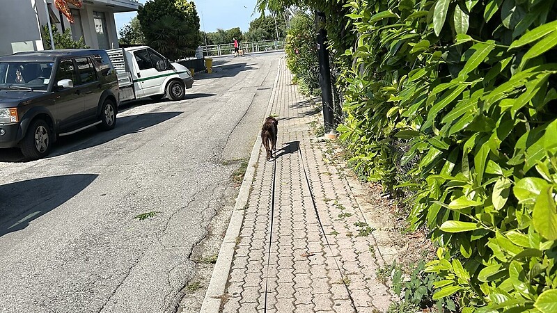 Karte