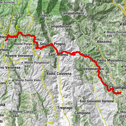 Bosco Chiesanuova-Chiampo 11/11/2023