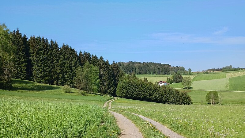 Karte