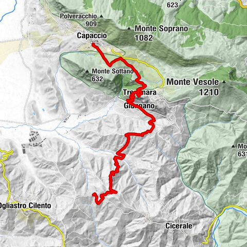 Cammino delle Terre  della Dieta Mediterranea - PIANA DEI GIUNCHI - Tappa VIII°