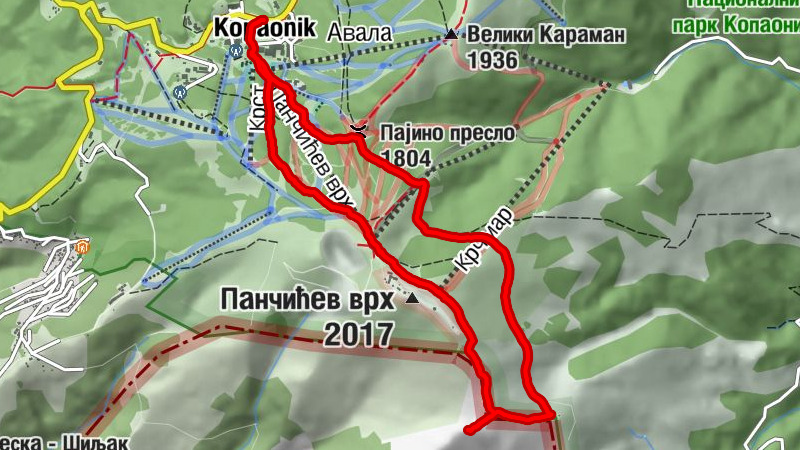 Kopaonik centar - Pancic - Nebeske stolice - Centar