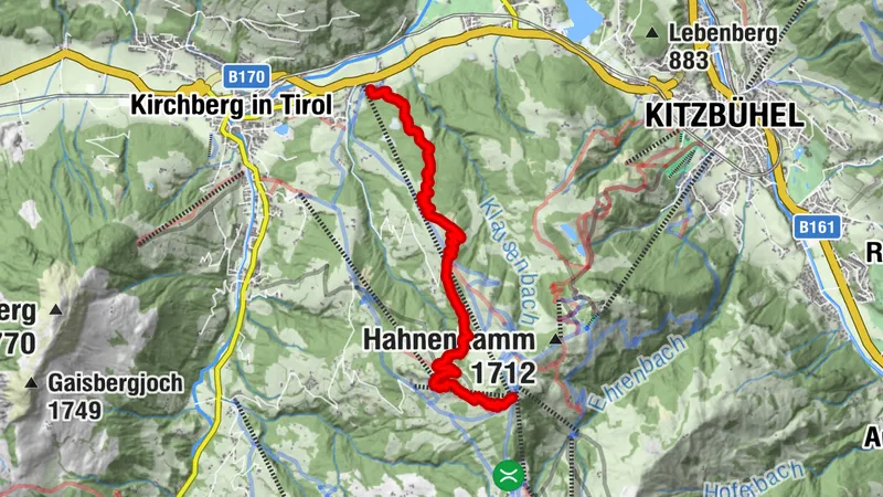 293 | Fleckalm Trail