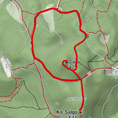 Bodzfás-kút - Salgó - Kis-Salgó - Boszorkánykő kilátás