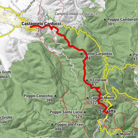Castagneto Carducci - Il Crociale - Sassetta