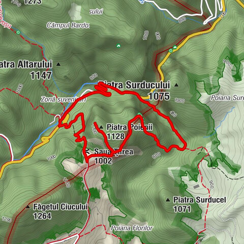 Bicaz-Chei - Saua Țifrea - Piatra Poienii - Turnul Negru