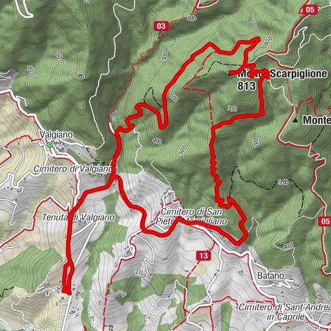Capannori - Monte Scarpiglione - Da Batano - tenuta san Pietro