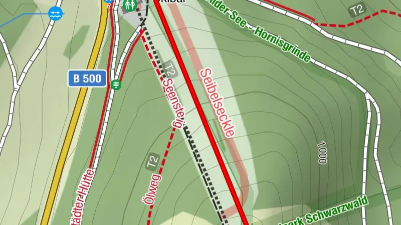 Skipiste Seibelseckle