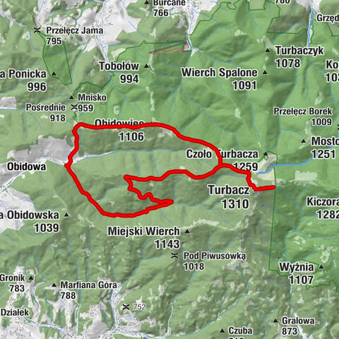 Parzygnatówka - Rozdziele - Turbacz - Groniki
