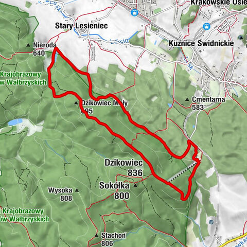 Sudety Camp Dzikowiec - Chatka Vladka - Dzikowiec - Chata Dzika