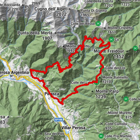 PINASCA Ring von Grandubbione
