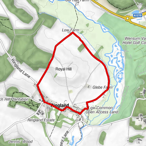 Ringland