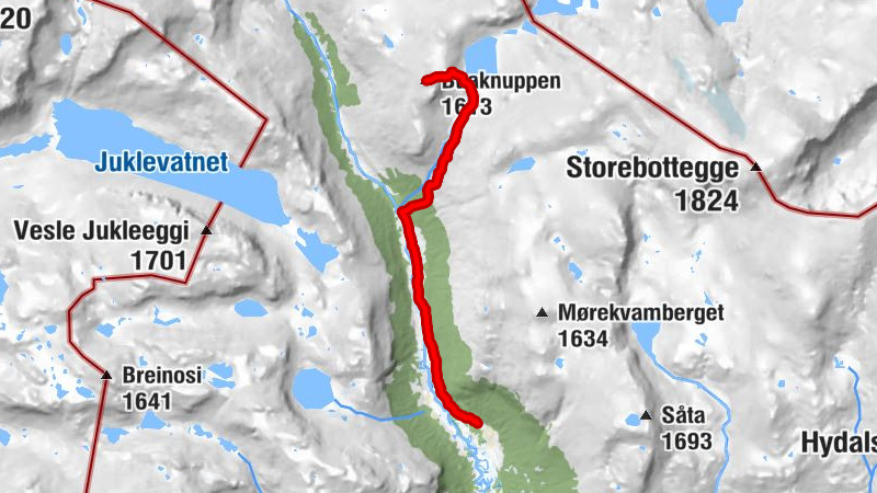 Hemsedal - Buaknuppen