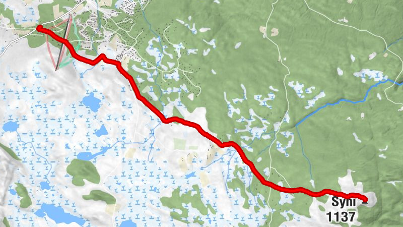 Nord-Aurdal - Syni