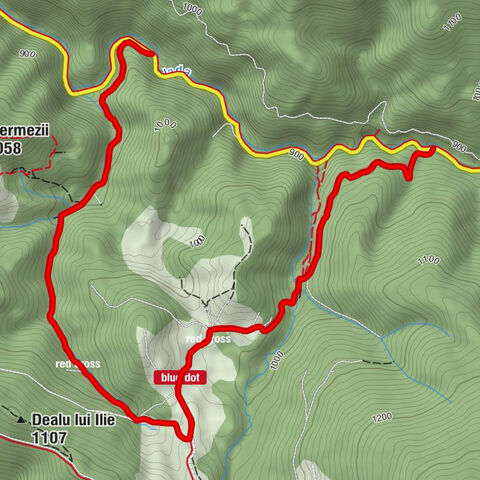 Budureasa - Săritoarea Ieduțului - Cascada Vălul Miresei