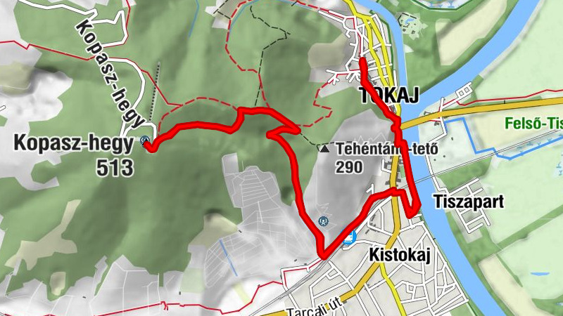 Jézus Szíve templom - Tokaj - Tokaji-hegy - Kopasz-hegy