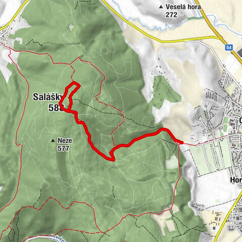Nové Mesto nad Váhom - Salášky - Salašky
