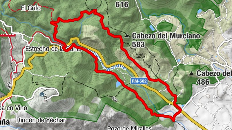 Totana - Cabezo del Murciano - Mirador del Algarrobo