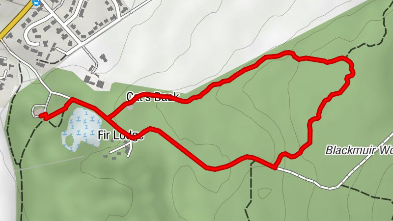 Highland - Fir Lodge - Cat's Back