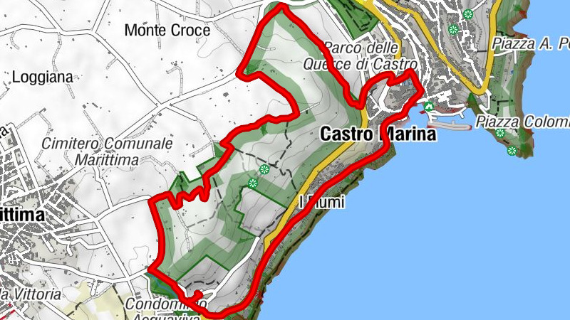 Castro - Anam - Diso