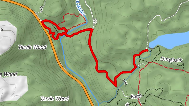 Highland - Rogie Falls