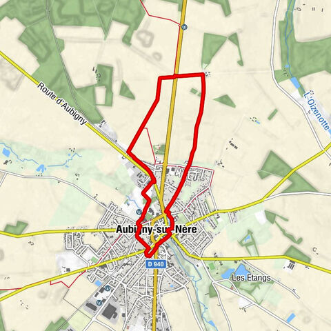 Aubigny-sur-Nère - Faubourg du Cygne - Séquoia géant - Le Bien Aller