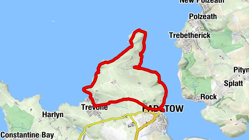 Padstow - St John's, Padstow - St Petroc's Church - St Saviour