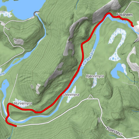 Nissedal - Reinfossen - Fossheim