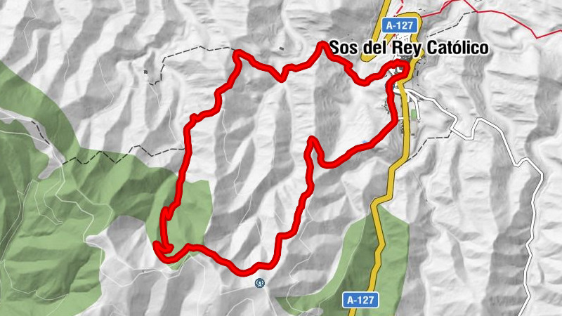 Sos del Rey Católico
