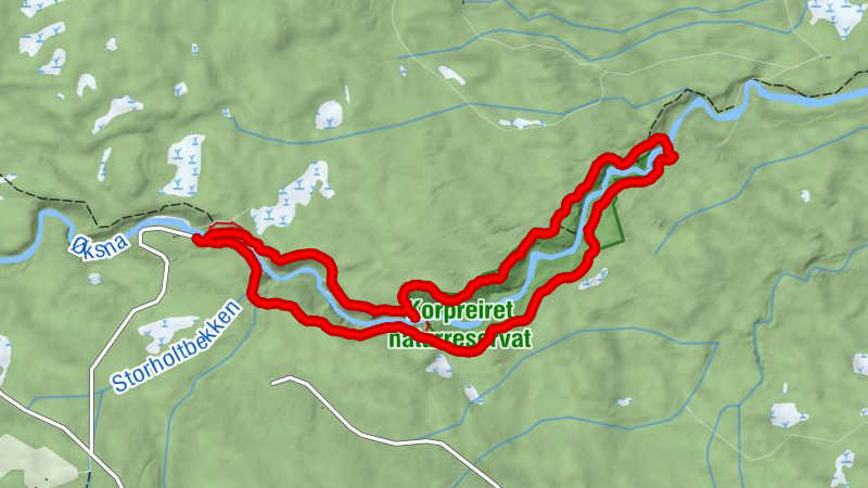 Korpreiret