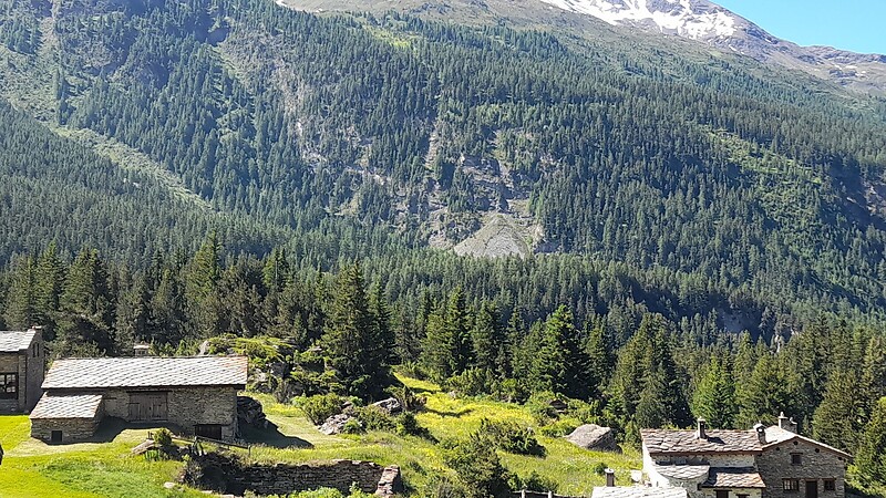 Karte